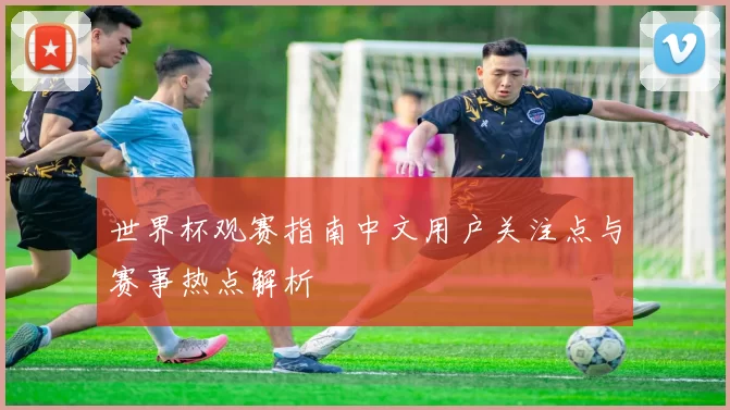 世界杯观赛指南中文用户关注点与赛事热点解析
