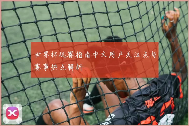 世界杯观赛指南中文用户关注点与赛事热点解析
